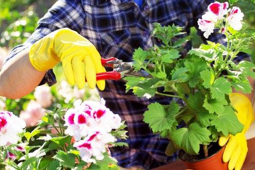 Cookie policy intro for Gardeners Denmark Hill website