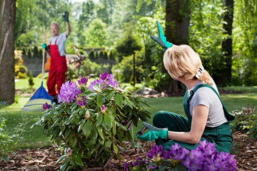 Green waste and overgrowth removed during garden clearance in Denmark Hill