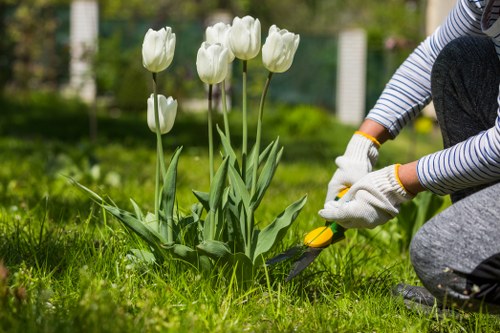 Gardeners Denmark Hill introduction with local garden care focus