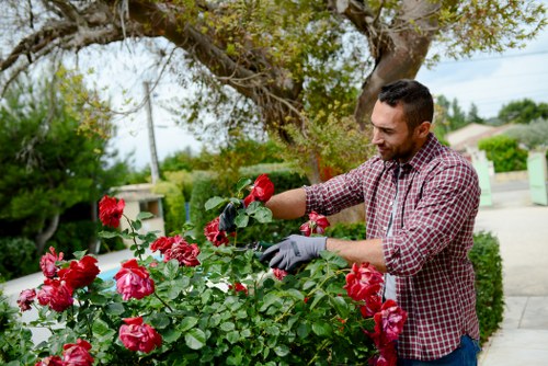 Customer raising a gardening complaint under a clear service process