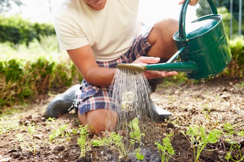 Well-kept garden turf as part of lawn care in Denmark Hill