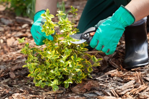 Gardeners Denmark Hill modern slavery statement introduction
