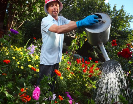 A well-kept urban garden in Denmark Hill with expert care