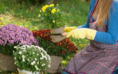 Overview of cookie categories used by Gardeners Denmark Hill