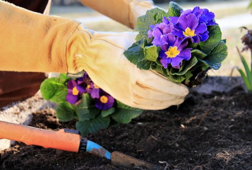 Professional gardener using protective equipment during maintenance