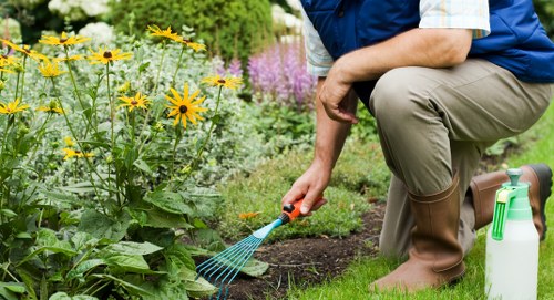 Local gardener maintaining plants and pathways in Denmark Hill