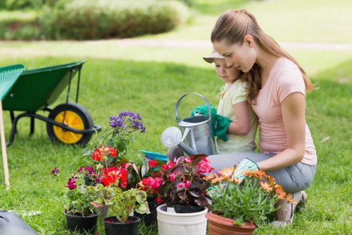 Seasonal lawn mowing care for a well-kept garden in Denmark Hill