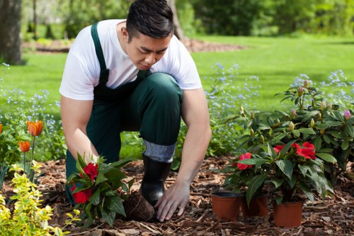 Supplier audit and due diligence process for Gardeners Denmark Hill