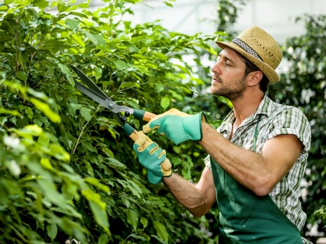 Transparent gardening rates for busy Denmark Hill properties