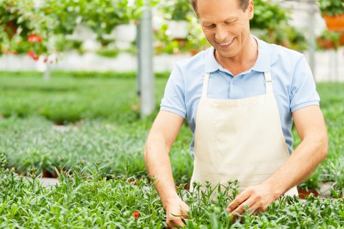 About us content for Gardeners Denmark Hill with long-term garden care