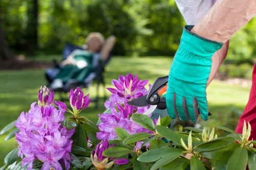 Safe and tidy gardening service with health and safety focus