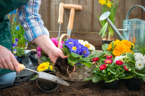 Professional garden maintenance in Denmark Hill with lawn and shrubs