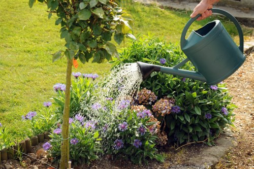 Local hedge maintenance in a residential Denmark Hill property