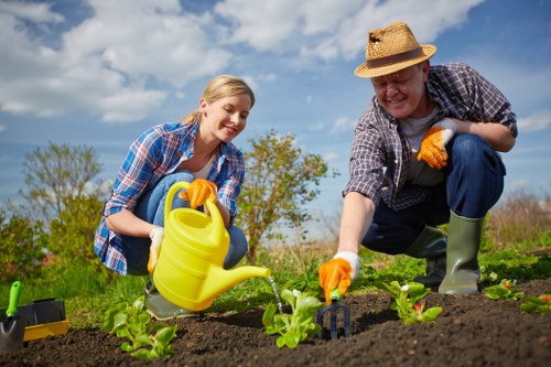 Seasonal garden maintenance in Denmark Hill with leaf clearance and pruning