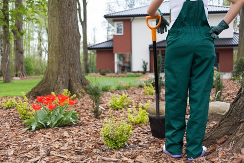 Low-maintenance garden design and upkeep services in Denmark Hill