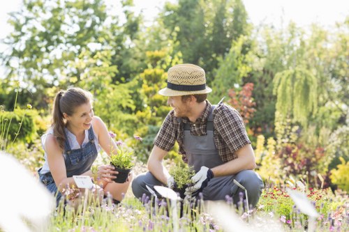 Garden maintenance issue being reviewed as part of a complaint procedure