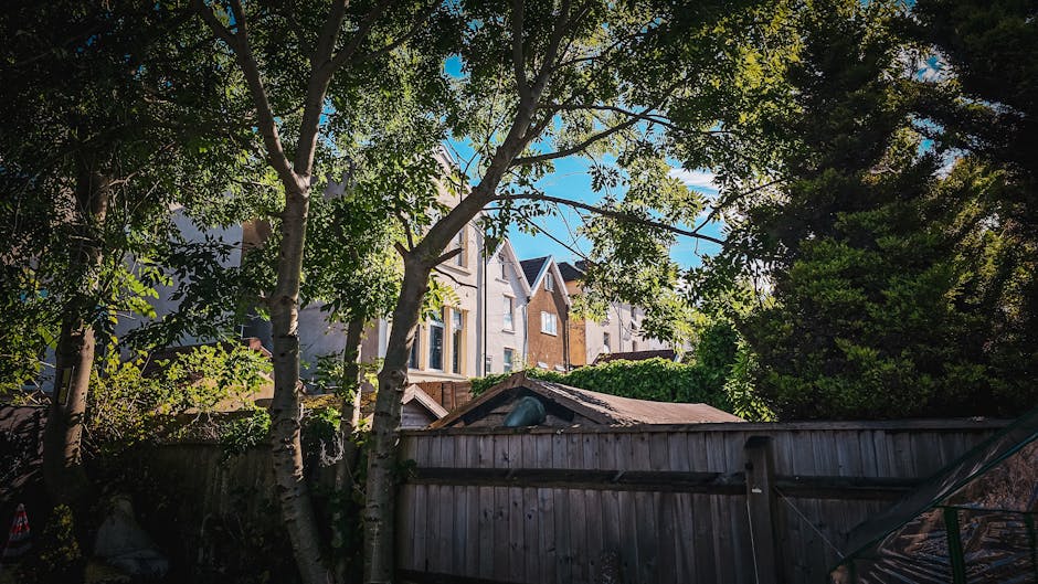 A view of a residential garden in Denmark Hill, featuring a weathered wooden fence in the foreground with visible grain and some moss. Behind the fence, there are mature trees with textured bark and l