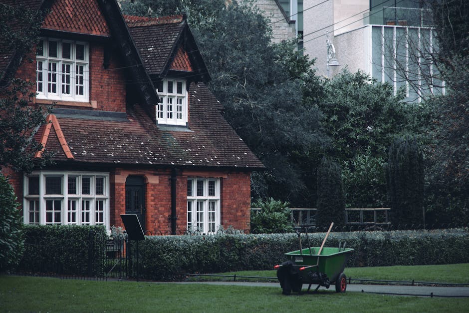 Same day garden maintenance in Denmark Hill real cost guide